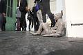 B-a-07_Galerie Lux_IMG_10349